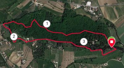 Camminata ecologica nella Selva con l’Atletica Amatori Avis