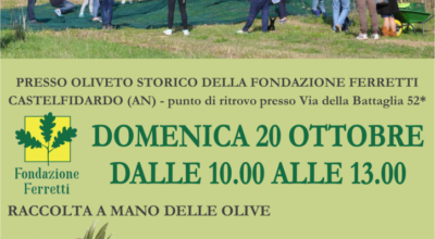 Raccolta delle olive e laboratori alla Fondazione Ferretti