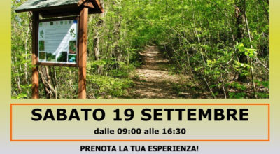 Immersione forestale alla Selva, unico Forest Bathing Center della Regione