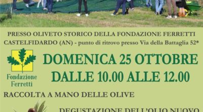 Raccolta delle olive alla fondazione Ferretti