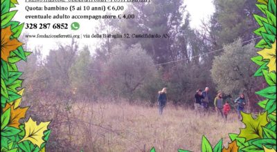 Alla scoperta degli abitanti del bosco