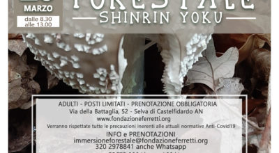 Immersione Forestale nella Selva con la Fondazione Ferretti