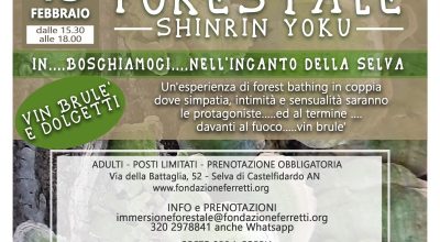 Immersione forestale nella Selva