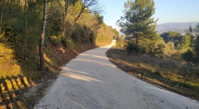 strada tagliafuoco Selva