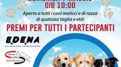 Mostra canina amatoriale