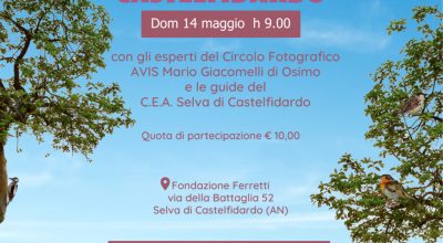 Photowalk alla Selva