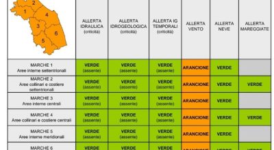 allerta