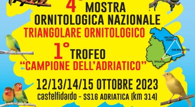 Quarta mostra ornitologica nazionale e primo trofeo “Campione dell’Adriatico”