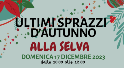 Ultimi sprazzi d’autunno alla Selva