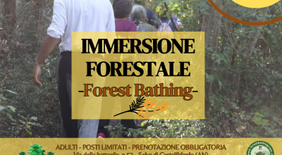 Immersione forestale nella Selva