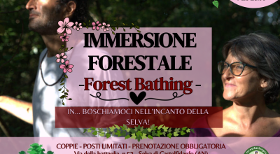 Immersione forestale di San Valentino