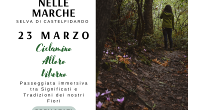 Passeggiata immersiva alla Selva nelle fioriture di marzo