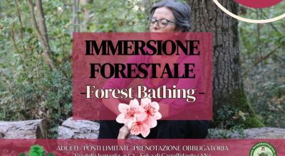 Immersione forestale nella Selva