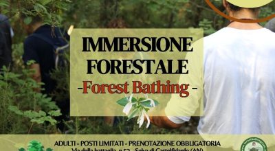 Immersione forestale nella Selva