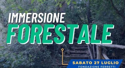 Immersione forestale nella Selva